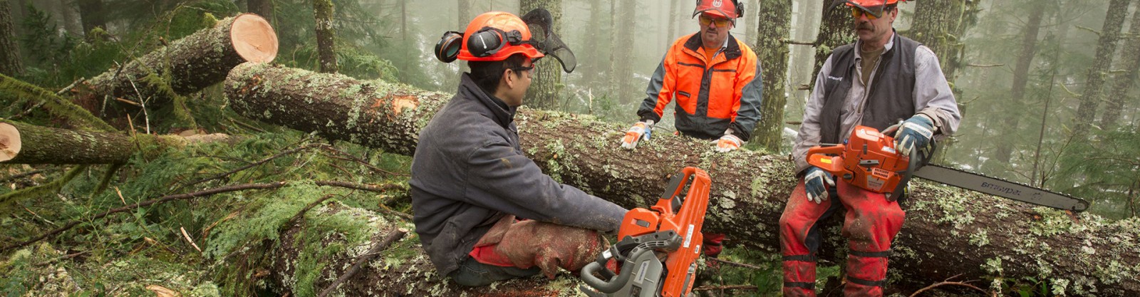 Скидка 10% при заказе от 3000 рублей